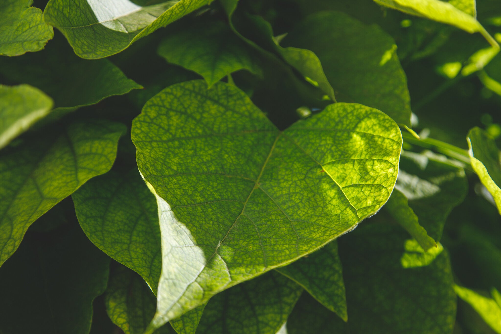 AdobeStock_1765583060