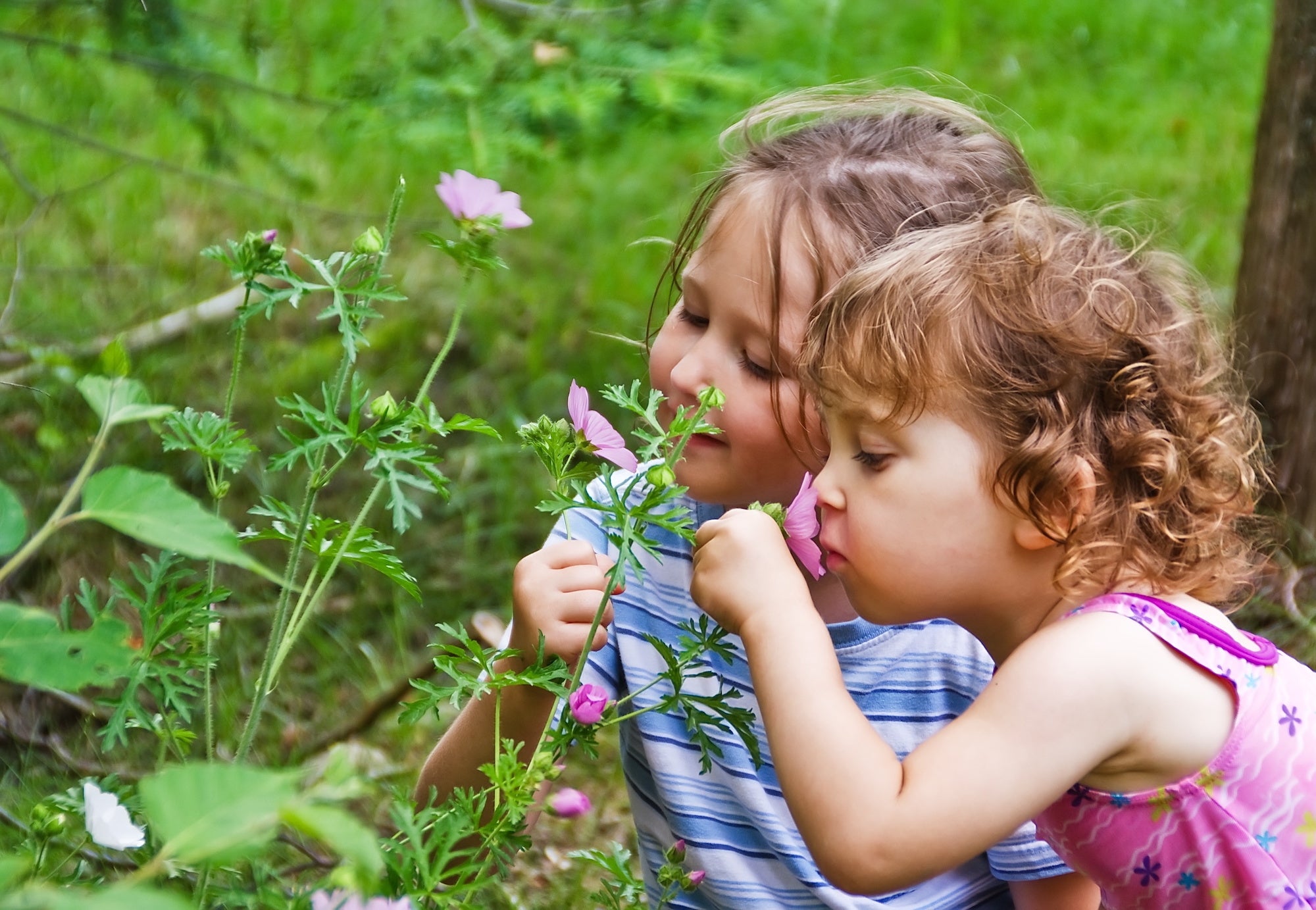 Children flower