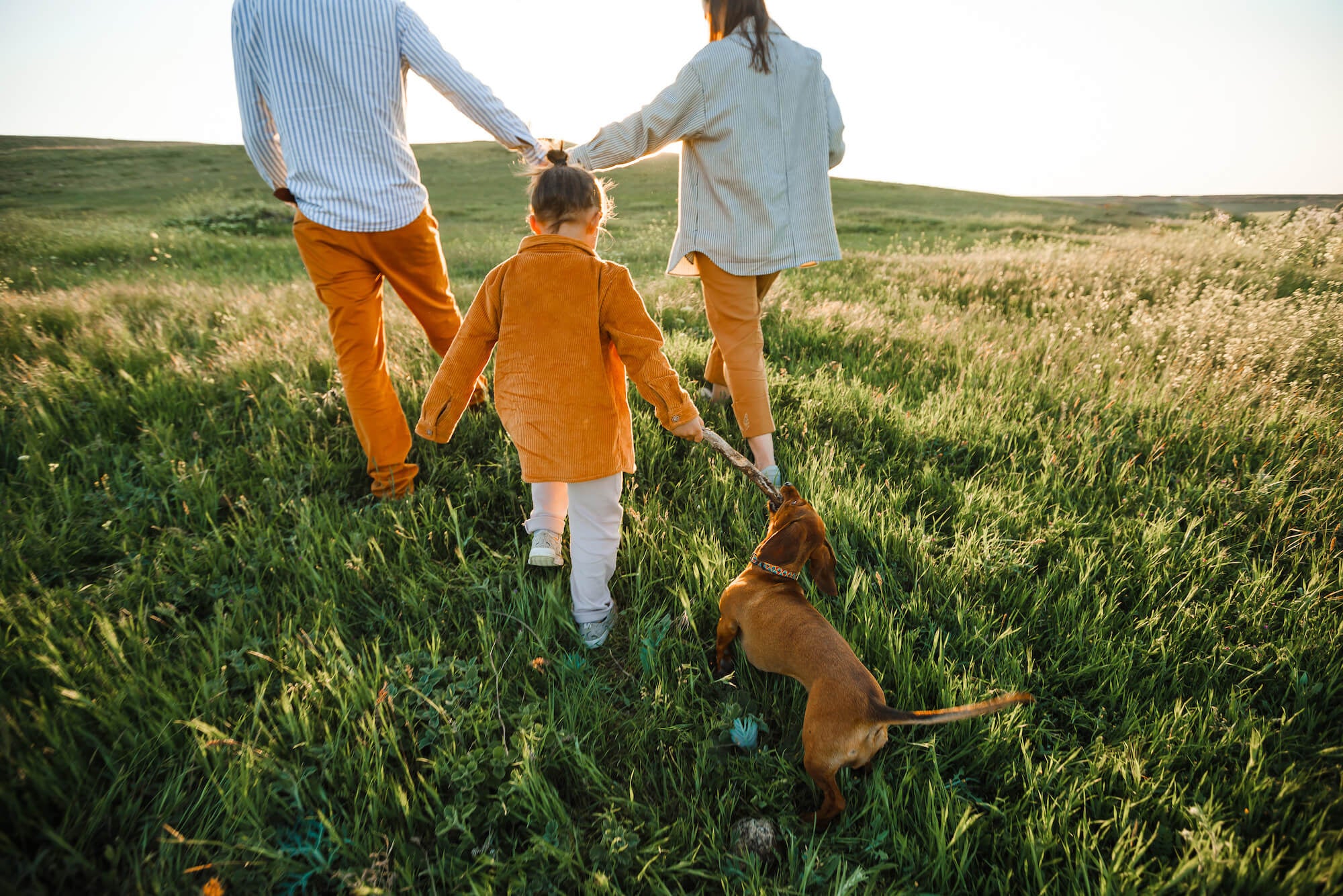 Family Nature Vitaminfit