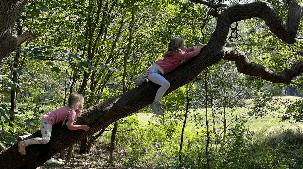 Gezond de herfst in met Kinderen copy