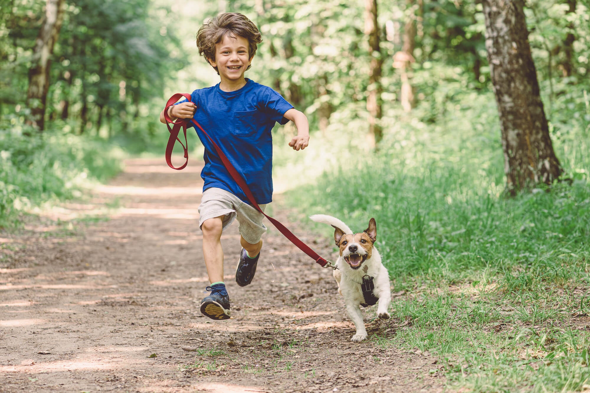 Kind Rennen Bos Vitaminfit