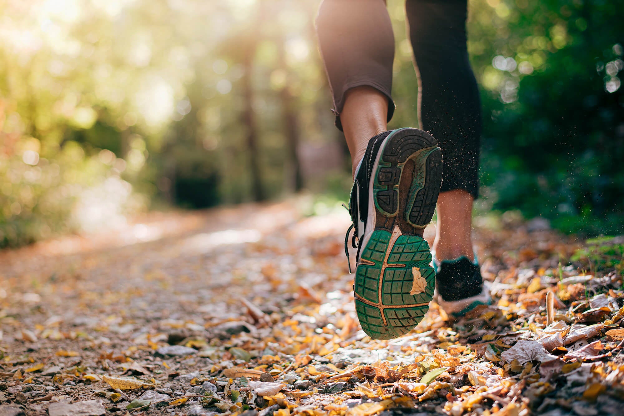 Running Forest Vitaminfit