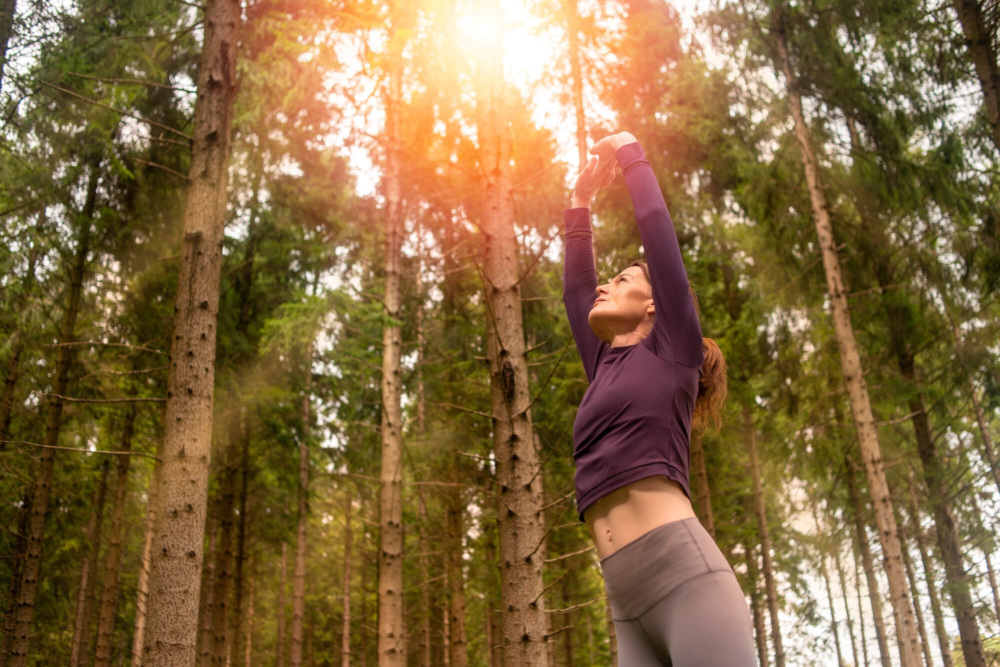 Sports Forest Vitaminfit