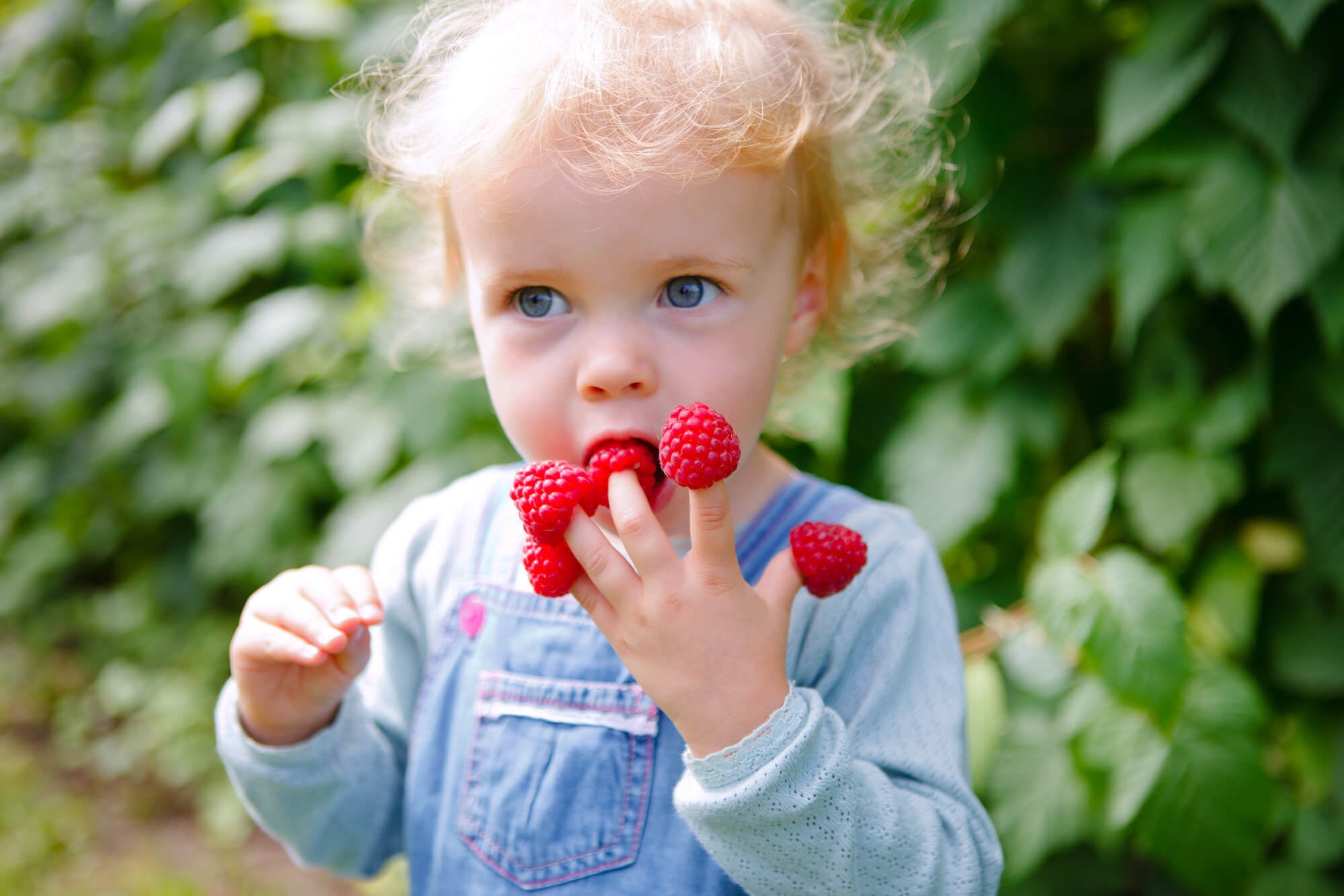 Toddler Eating 2 Vitaminfit