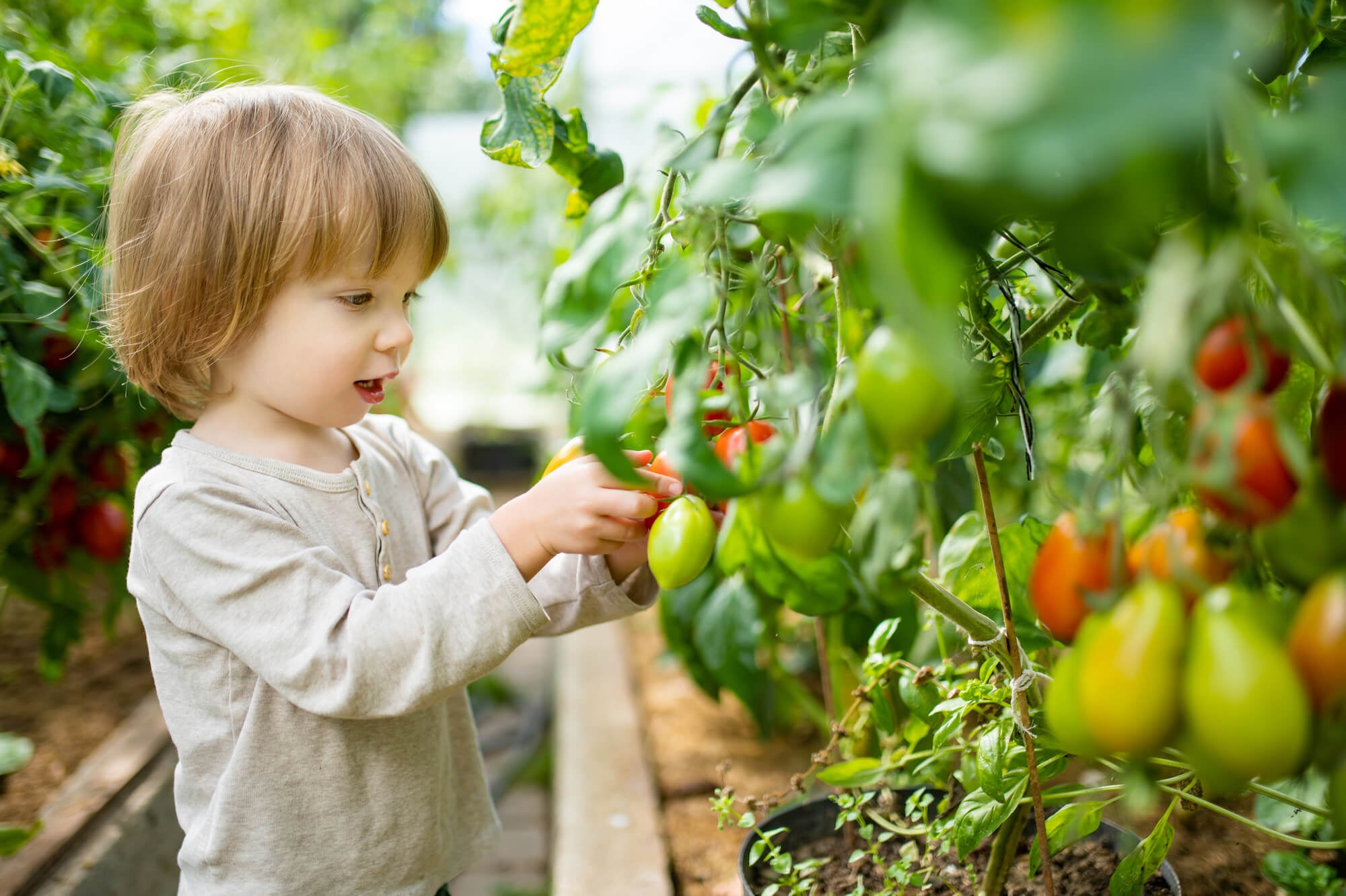 Toddler Vegetables Vitaminfit