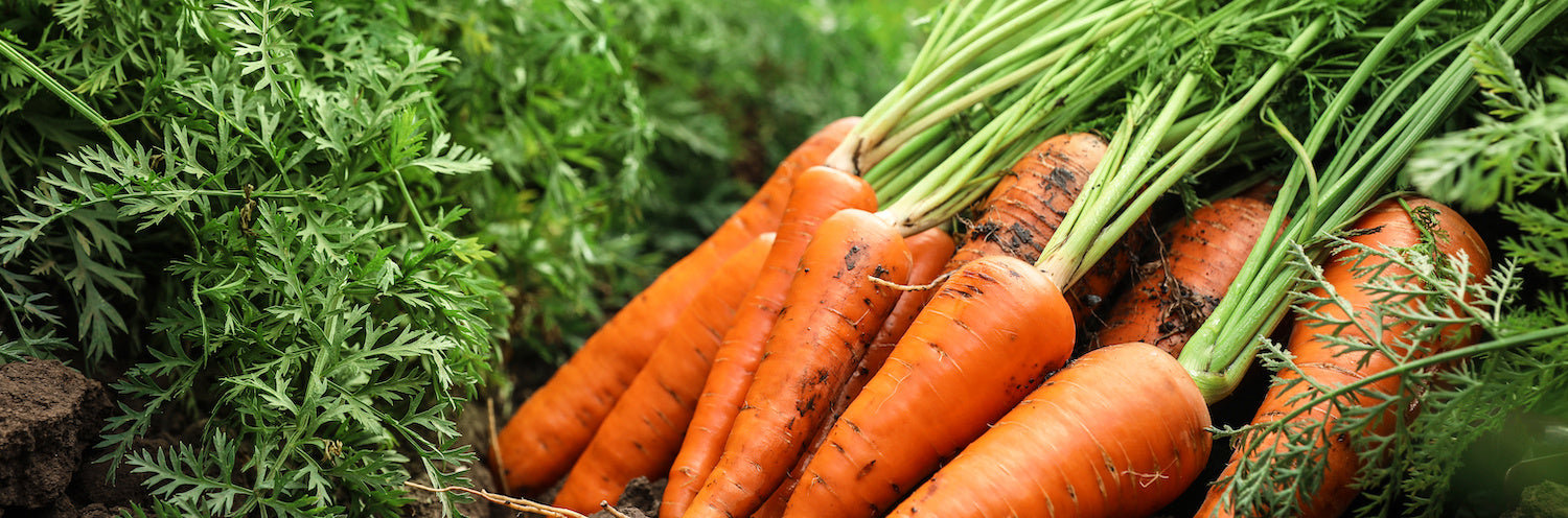 Vitamine A wortels