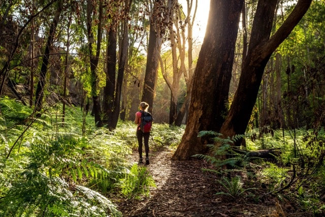 walk nature
