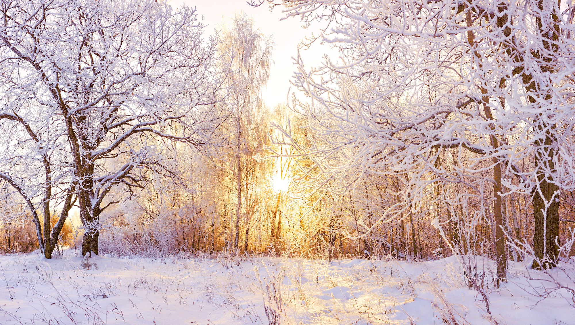 Winter 2 Vitaminfit