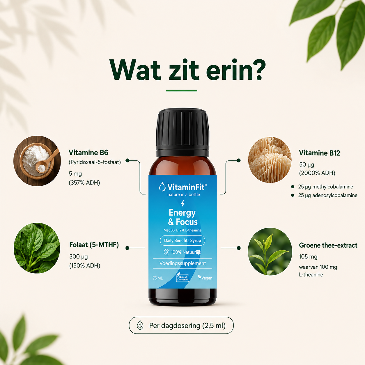 Energy & Focus Siroop
