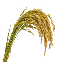 Vitamine B-image