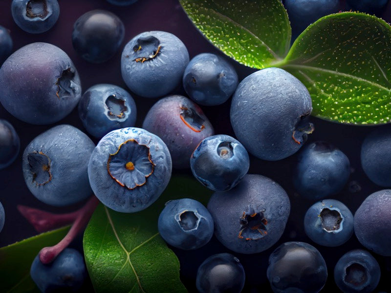 vitaminfit.com